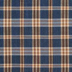 Charlotte Fabric D155 Indigo Tartan