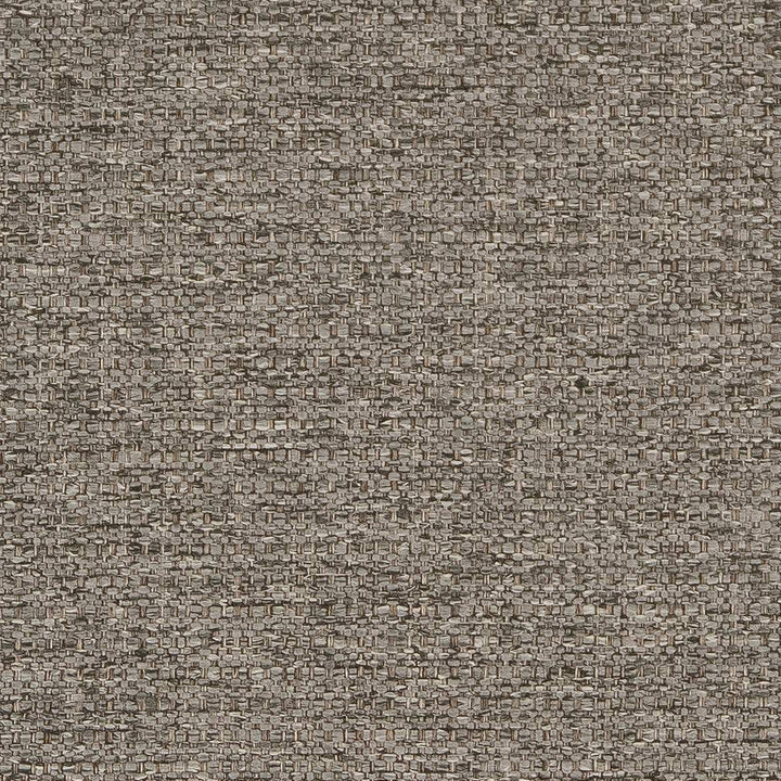 D1573 Mineral by Charlotte Designer Fabric Eco Plains 100% Woven Polypropylene Made In USA Exceeds 60,000 Wyzenbeek Rubs (Heavy Duty) No Repeat 54 Inches - Swanky Fabrics -