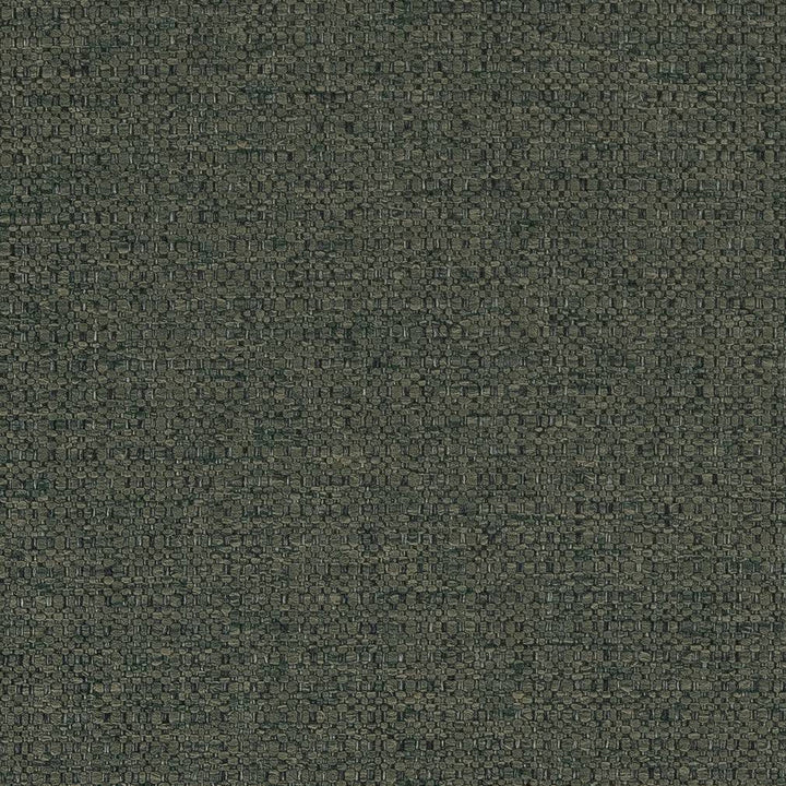 D1576 Cypress by Charlotte Designer Fabric Eco Plains 100% Woven Polypropylene Made In USA Exceeds 60,000 Wyzenbeek Rubs (Heavy Duty) No Repeat 54 Inches - Swanky Fabrics -