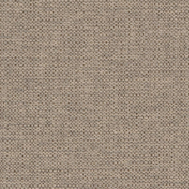D1577 Dove by Charlotte Designer Fabric Eco Plains 100% Polypropylene Made In USA Exceeds 60,000 Wyzenbeek Rubs (Heavy Duty) </p><p>Repeat: 54 Inches - Swanky Fabrics -