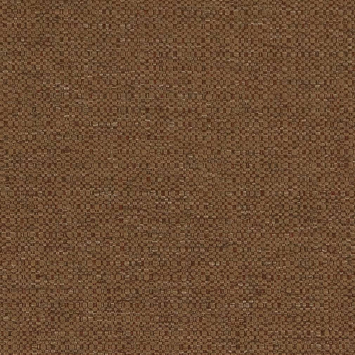 D1580 Nutmeg by Charlotte Designer Fabric Eco Plains 100% Woven Polypropylene Made In USA Exceeds 60,000 Wyzenbeek Rubs (Heavy Duty) No Repeat 54 Inches - Swanky Fabrics -