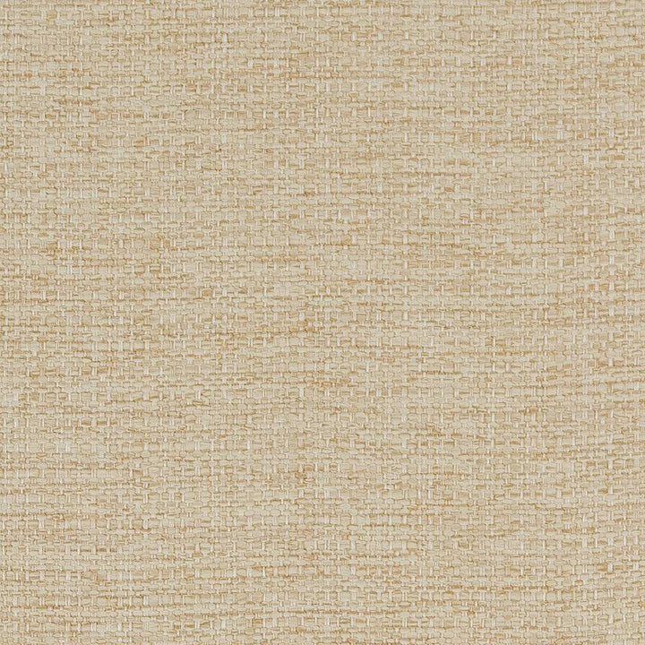 D1581 Beach by Charlotte Designer Fabric Eco Plains 100% Polypropylene Made In USA Exceeds 60,000 Wyzenbeek Rubs (Heavy Duty) </p><p>Repeat: 54 Inches - Swanky Fabrics -
