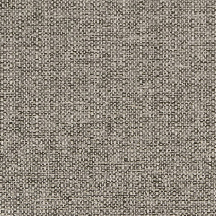 D1582 Platinum by Charlotte Designer Fabric Eco Plains 100% Polypropylene Made In USA Exceeds 60,000 Wyzenbeek Rubs (Heavy Duty) </p><p>Repeat: 54 Inches - Swanky Fabrics -