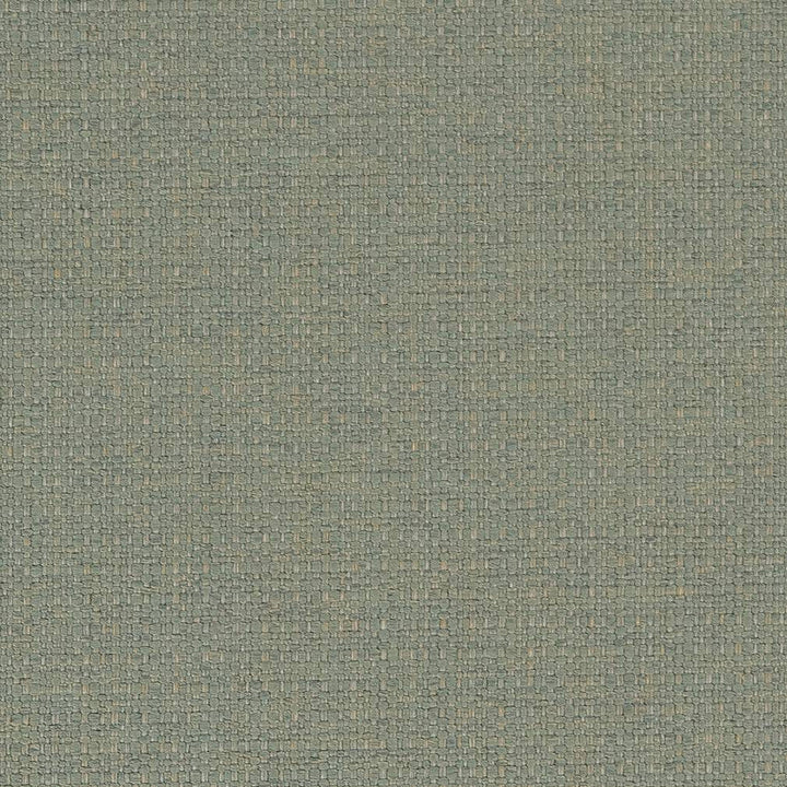 D1583 Mist by Charlotte Designer Fabric Eco Plains 100% Polypropylene Made In USA Exceeds 60,000 Wyzenbeek Rubs (Heavy Duty) </p><p>Repeat: 54 Inches - Swanky Fabrics -