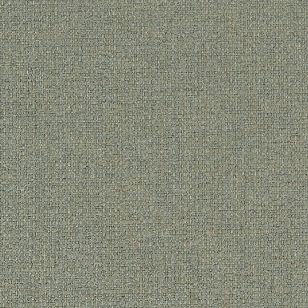 D1583 Mist by Charlotte Designer Fabric Eco Plains 100% Woven Polypropylene Made In USA Exceeds 60,000 Wyzenbeek Rubs (Heavy Duty) No Repeat 54 Inches - Swanky Fabrics -