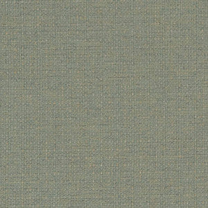 Charlotte Fabric D1583 Mist