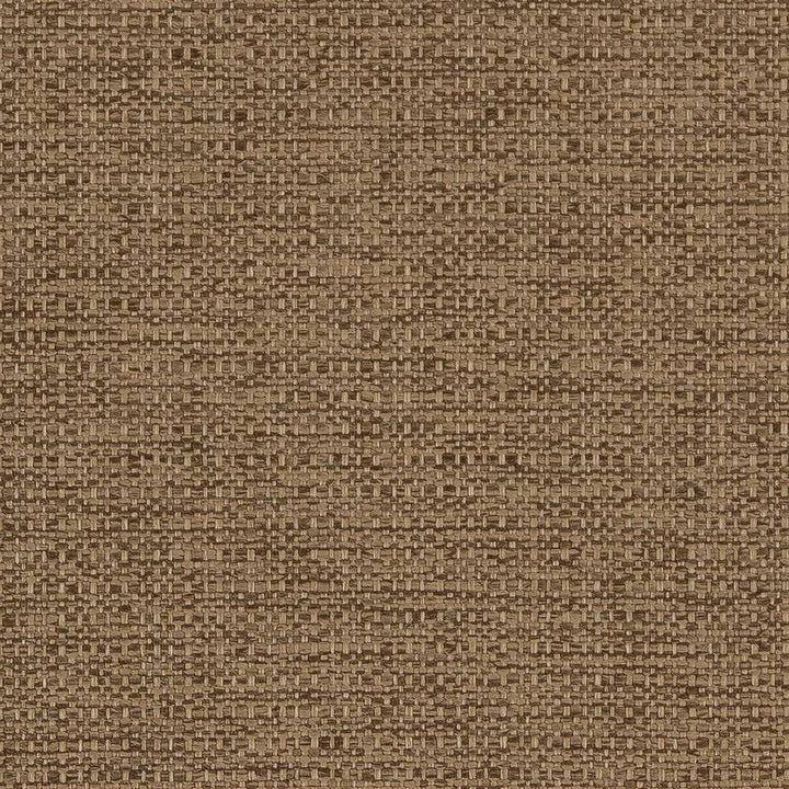 D1585 Sandalwood by Charlotte Designer Fabric Eco Plains 100% Polypropylene Made In USA Exceeds 60,000 Wyzenbeek Rubs (Heavy Duty) </p><p>Repeat: 54 Inches - Swanky Fabrics -