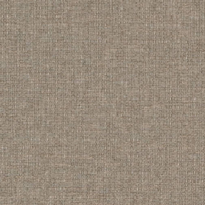 D1586 Stone by Charlotte Designer Fabric Eco Plains 100% Woven Polypropylene Made In USA Exceeds 60,000 Wyzenbeek Rubs (Heavy Duty) No Repeat 54 Inches - Swanky Fabrics -