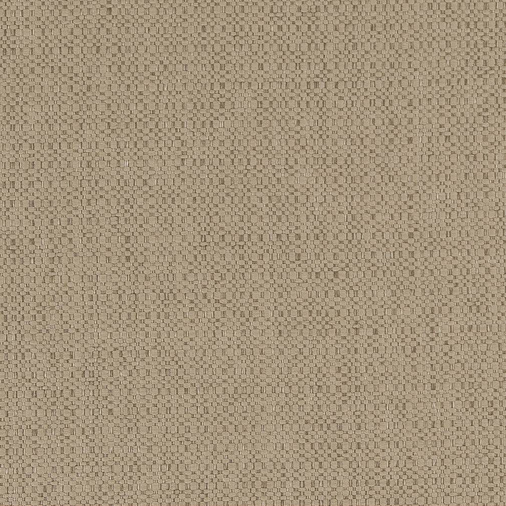 D1593 Dune by Charlotte Designer Fabric Eco Plains 100% Woven Polypropylene Made In USA Exceeds 60,000 Wyzenbeek Rubs (Heavy Duty) No Repeat 54 Inches - Swanky Fabrics -