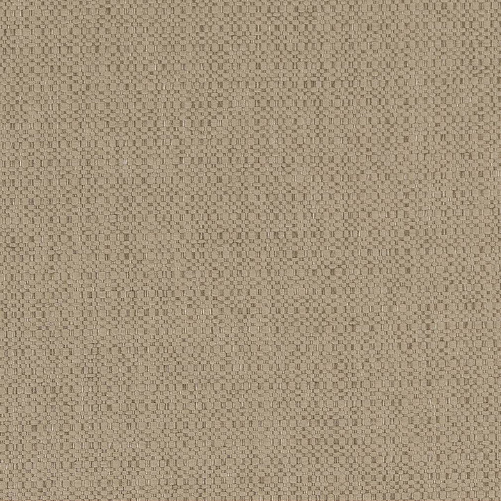 D1593 Dune by Charlotte Designer Fabric Eco Plains 100% Woven Polypropylene Made In USA Exceeds 60,000 Wyzenbeek Rubs (Heavy Duty) No Repeat 54 Inches - Swanky Fabrics -