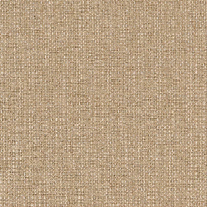 D1599 Almond by Charlotte Designer Fabric Eco Plains 100% Woven Polypropylene Made In USA Exceeds 60,000 Wyzenbeek Rubs (Heavy Duty) No Repeat 54 Inches - Swanky Fabrics -