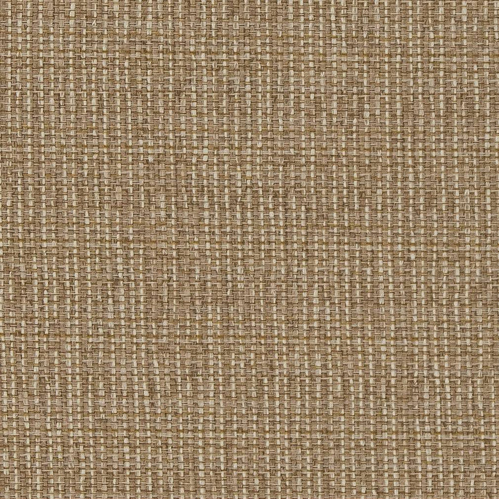 D1610 Almond by Charlotte Designer Fabric Eco Patterns 71% Polypropylene, 29% Polyester Made In USA Exceeds 60,000 Wyzenbeek Rubs (Heavy Duty) No Repeat 54 Inches - Swanky Fabrics -