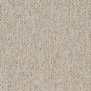 Charlotte Fabric D1619 Birch