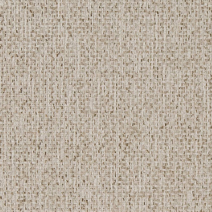 D1619 Birch by Charlotte Designer Fabric Eco Patterns 100% Polypropylene Made In USA Exceeds 60,000 Wyzenbeek Rubs (Heavy Duty) </p><p>Repeat: 54 Inches - Swanky Fabrics -