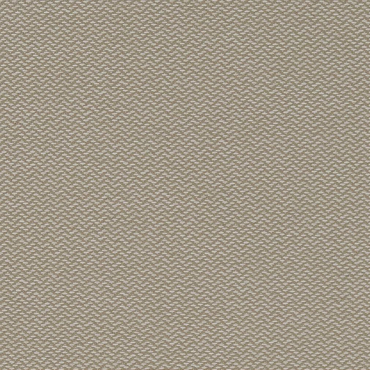 D1625 Cloud by Charlotte Designer Fabric Eco Patterns 100% Polypropylene Made In USA Exceeds 60,000 Wyzenbeek Rubs (Heavy Duty) </p><p>Repeat: 54 Inches - Swanky Fabrics -