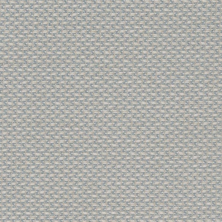 D1627 Sky by Charlotte Designer Fabric Eco Patterns 100% Woven Polypropylene Made In USA Exceeds 60,000 Wyzenbeek Rubs (Heavy Duty) No Repeat 54 Inches - Swanky Fabrics -