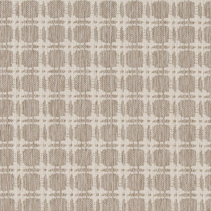 D1647 Moonstone by Charlotte Designer Fabric Eco Patterns 100% Woven Polypropylene Made In USA Exceeds 60,000 Wyzenbeek Rubs (Heavy Duty) Horizontal 1.25" x Vertical 1.25" 54 Inches - Swanky Fabrics -