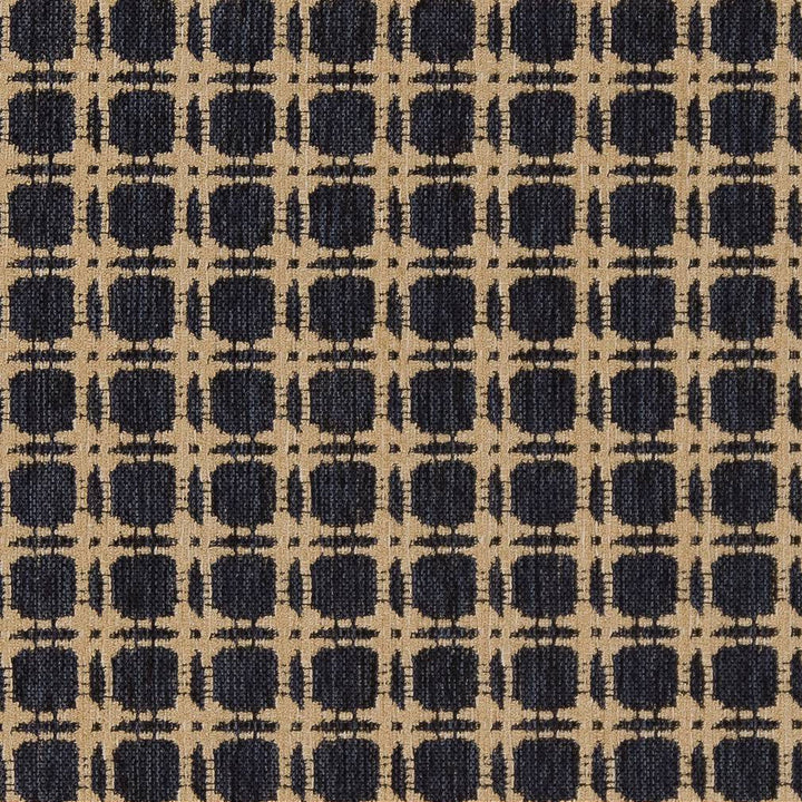 D1648 Navy by Charlotte Designer Fabric Eco Patterns 100% Woven Polypropylene Made In USA Exceeds 60,000 Wyzenbeek Rubs (Heavy Duty) Horizontal 1.25" x Vertical 1.25" 54 Inches - Swanky Fabrics -