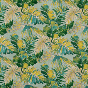 Charlotte Fabric D1689 Valencia