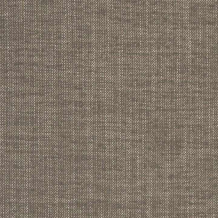 D1703 Slate by Charlotte Designer Fabric Crypton III 92% Polyester, 8% Linen Asia Exceeds 200,000 Wyzenbeek Rubs (Heavy Duty) No Repeat 54 Inches - Swanky Fabrics -