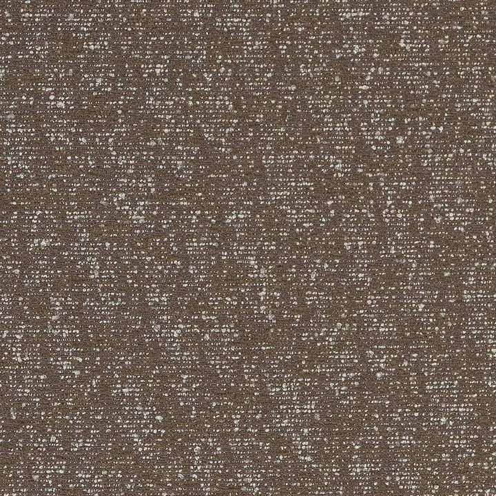 D1710 Ash by Charlotte Designer Fabric Crypton III 90% Polyester, 10% Viscose Asia Exceeds 200,000 Wyzenbeek Rubs (Heavy Duty) No Repeat 54 Inches - Swanky Fabrics -