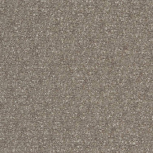 Charlotte Fabric D1715 Granite