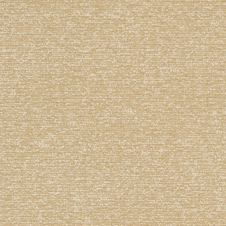 D1720 Beach by Charlotte Designer Fabric Crypton III 100% Woven Polyester Asia Exceeds 200,000 Wyzenbeek Rubs (Heavy Duty) </p><p>Repeat: 54 Inches - Swanky Fabrics -