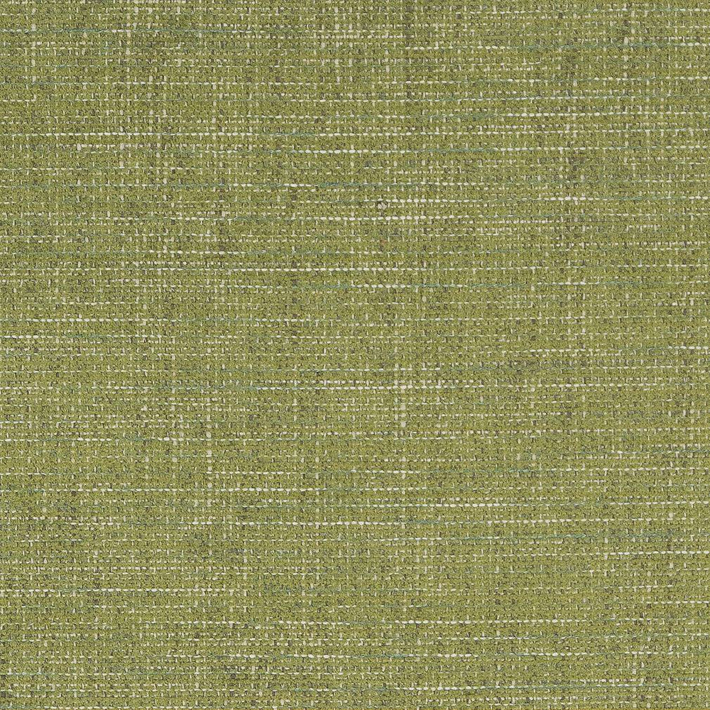 D1739 Grass by Charlotte Designer Fabric Crypton III 100% Woven Polyester Asia Exceeds 100,000 Wyzenbeek Rubs (Heavy Duty) No Repeat 54 Inches - Swanky Fabrics -