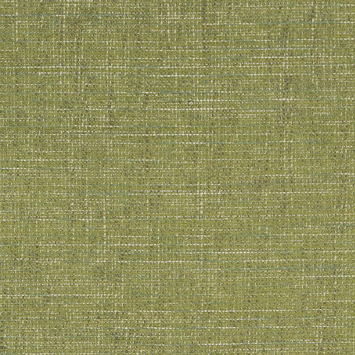 D1739 Grass by Charlotte Designer Fabric Crypton III 100% Woven Polyester Asia Exceeds 100,000 Wyzenbeek Rubs (Heavy Duty) No Repeat 54 Inches - Swanky Fabrics -