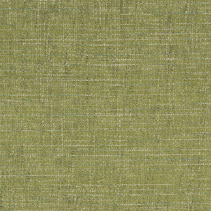 Charlotte Fabric D1739 Grass