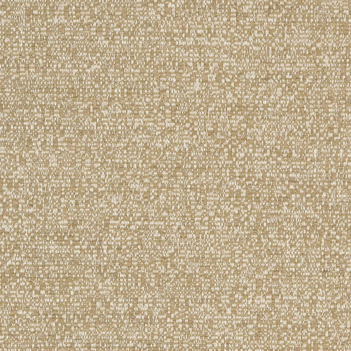 D1748 Barley by Charlotte Designer Fabric Crypton III 70% Polyester, 15% Viscose, 10% Acrylic Asia Exceeds 100,000 Wyzenbeek Rubs (Heavy Duty) No Repeat 54 Inches - Swanky Fabrics -