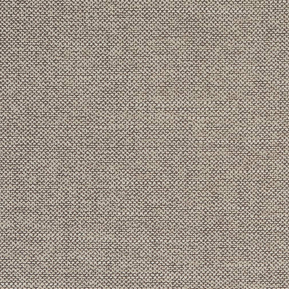 D1755 Fossil by Charlotte Designer Fabric Crypton III 70% Polyester, 25% Viscose, 5% Linen Asia Exceeds 200,000 Wyzenbeek Rubs (Heavy Duty) No Repeat 54 Inches - Swanky Fabrics -