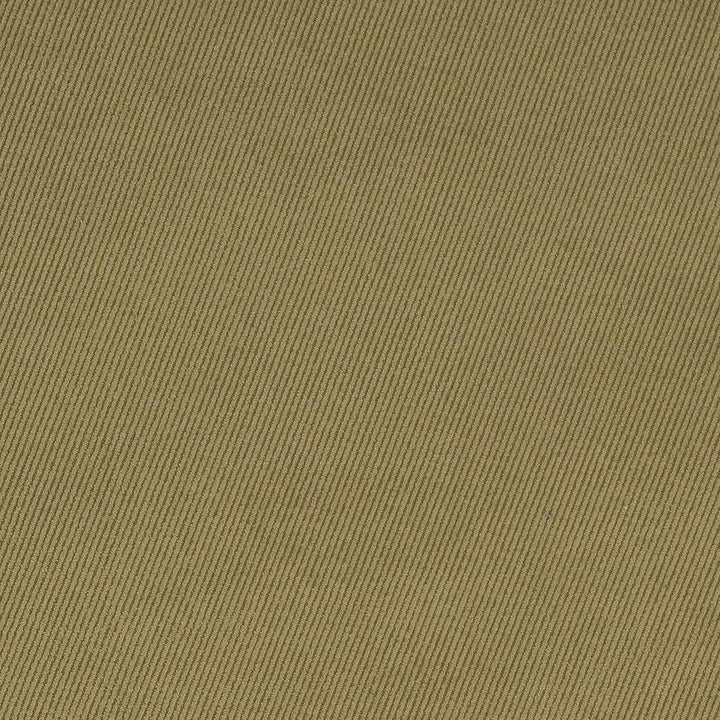 D1760 Sage by Charlotte Designer Fabric Classic Velvet 100% Woven Polyester Asia Exceeds 200,000 Wyzenbeek Rubs (Heavy Duty) No Repeat 54 Inches - Swanky Fabrics -