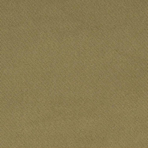 Charlotte Fabric D1760 Sage