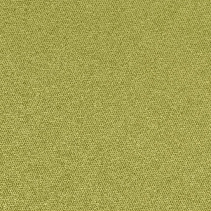 D1768 Spring by Charlotte Designer Fabric Classic Velvet 100% Woven Polyester Asia Exceeds 200,000 Wyzenbeek Rubs (Heavy Duty) </p><p>Repeat: 54 Inches - Swanky Fabrics -