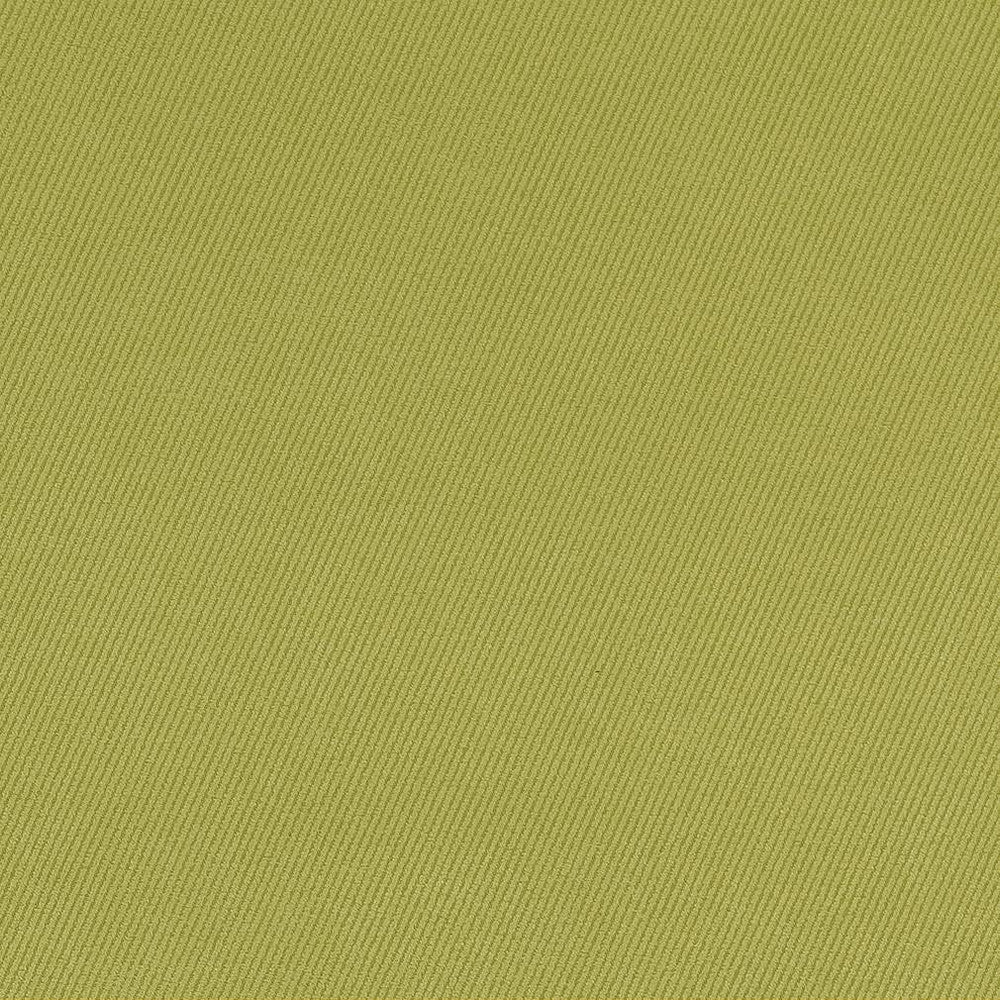 D1768 Spring by Charlotte Designer Fabric Classic Velvet 100% Woven Polyester Asia Exceeds 200,000 Wyzenbeek Rubs (Heavy Duty) No Repeat 54 Inches - Swanky Fabrics -