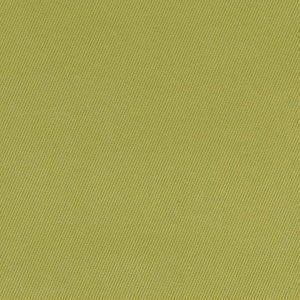 Charlotte Fabric D1768 Spring