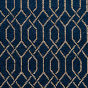 Charlotte Fabric D189 Sapphire Lattice