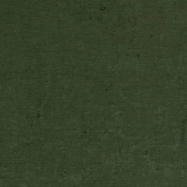 D1906 Juniper by Charlotte Designer Fabric Luxe Velvet 100% Woven Polyester India Exceeds 140,000 Wyzenbeek Rubs (Heavy Duty) </p><p>Repeat: 54 Inches - Swanky Fabrics -