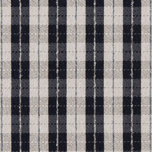 Charlotte Fabric D1952 Navy Plaid