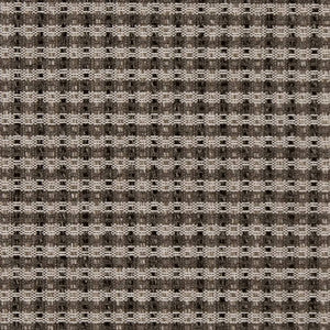 Charlotte Fabric D1964 Onyx
