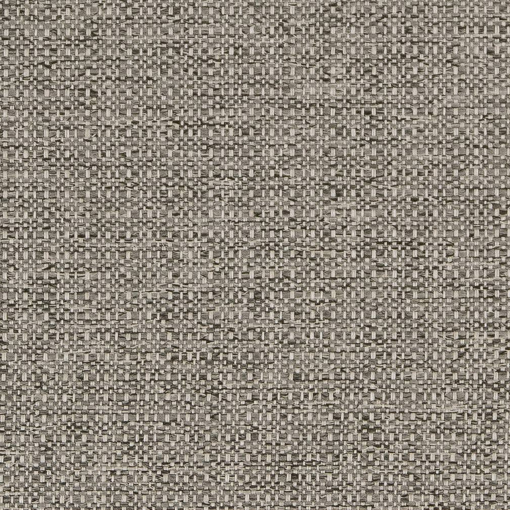 D1979 Platinum by Charlotte Designer Fabric Rustic Wovens 100% Polypropylene Made In USA Exceeds 60,000 Wyzenbeek Rubs (Heavy Duty) </p><p>Repeat: 54 Inches - Swanky Fabrics -