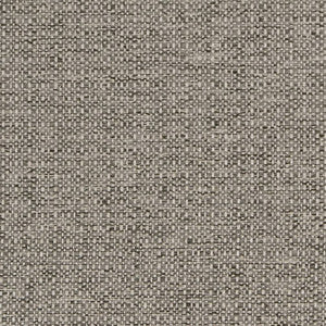 Charlotte Fabric D1979 Platinum