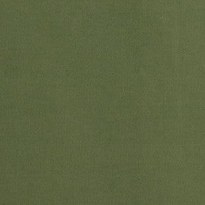 Charlotte Fabric D2090 Basil