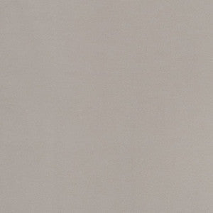 Charlotte Fabric D2100 Silver