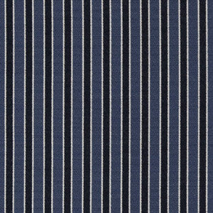 Charlotte Fabric D2134 Wedgewood Stripe