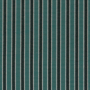 Charlotte Fabric D2137 Jade Stripe