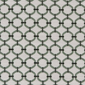 Charlotte Fabric D2176 Spring Lattice