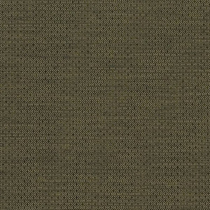 Charlotte Fabric D2193 Basil