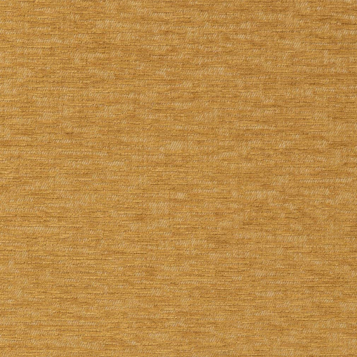 D2240 Honey by Charlotte Designer Fabric Crypton Posh 100% Polyester Asia Exceeds 100,000 Wyzenbeek Rubs (Heavy Duty) </p><p>Repeat: 54 Inches - Swanky Fabrics -